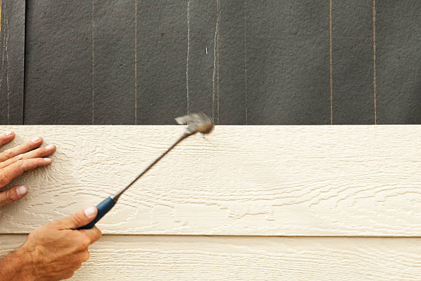 Best Historical Building Siding Restoration  in Buena Vista, GA